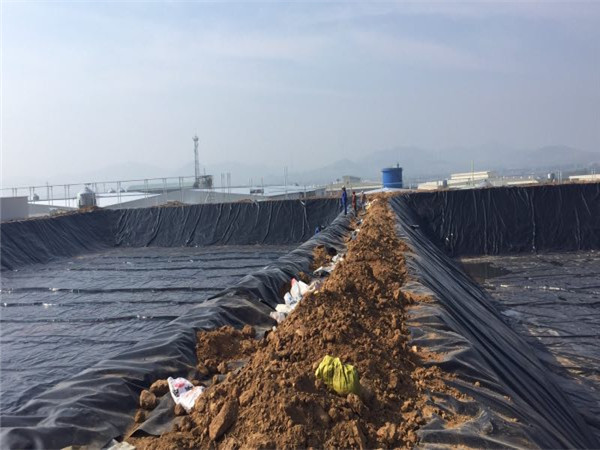 氧化塘土工膜用于烟台某养猪场废液处理项目