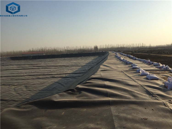 养殖土工膜应用德州养殖场工程